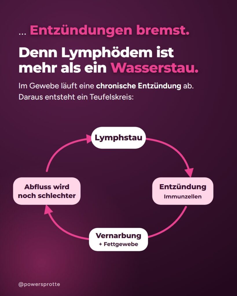 Teufelskreis beim Lymphödem: Lymphstau, Entzündung, Vernarbung, schlechterer Abfluss